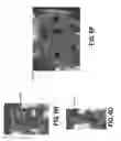 Fig. 28 - User-assisted robotic control systems