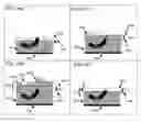 Fig. 21 - MATERIAL MANIPULATION IN THREE-DIMENSIONAL PRINTING