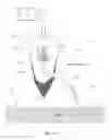 Fig. 22 - MATERIAL MANIPULATION IN THREE-DIMENSIONAL PRINTING