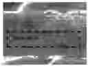 Fig. 01 - Mutilayer polyethylene films, and articles made therefrom