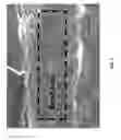 Fig. 02 - Mutilayer polyethylene films, and articles made therefrom