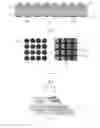 Fig. 02 - Optical anti-counterfeiting element and optical anti-counterfeiting product utilizing the same