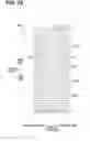 Fig. 29 - Cold storage heat exchanger