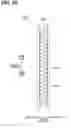 Fig. 51 - Cold storage heat exchanger