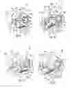 Fig. 04 - Seat latch assembly