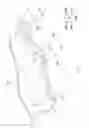 Fig. 06 - Vehicle seat