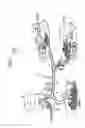Fig. 02 - Control system for dump truck, dump truck, and control method for dump truck
