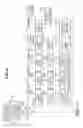 Fig. 07 - Optical source unit by polarized light beams and vehicle lighting apparatus using the same