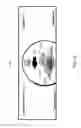 Fig. 13 - Virtual steerable path