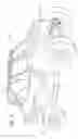 Fig. 02 - Off-road front suspension system