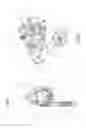 Fig. 03 - Bicycle rear derailleur