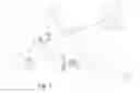 Fig. 02 - DEGRADED OPERATING MODE FOR AN AIRCRAFT PROPULSION ASSEMBLY ENABLING REMOVAL OF A CAP TO A THRUST SETTING