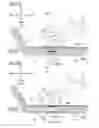 Fig. 08 - Sheet supplier