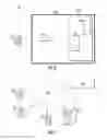 Fig. 03 - ELEVATOR SERVICE REQUEST USING USER DEVICE WITH APP-RETAINED FLOOR PAIRS