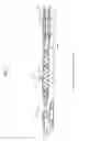 Fig. 03 - Method for raising raisable and lowerable member, and crane