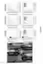 Fig. 22 - Mechanochemical Processing of Thermoplastic Nanocomposites for Regenerative Orthopedic Surgery