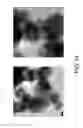Fig. 18 - Method of making metal and metal oxide nanoparticles