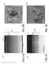 Fig. 07 - Textured glass articles and methods of making the same