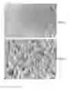 Fig. 02 - Material, use thereof and method to manufacture said material
