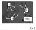 Fig. 02 - BATCH FOR PRODUCTION OF A REFRACTORY PRODUCT, A PROCESS FOR THE PRODUCTION OF A REFRACTORY PRODUCT, A REFRACTORY PRODUCT AS WELL AS THE USE OF A REFRACTORY PRODUCT