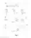 Fig. 06 - Methods for preparing phenolic branched chain alkyl fatty acids or esters thereof and methods for killing microorganisms