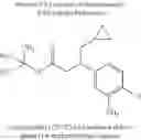 Fig. 72 - Branched 3-phenylpropionic acid derivatives and their use