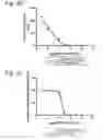 Fig. 12 - Pantothenamide Analogues