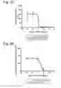 Fig. 13 - Pantothenamide Analogues