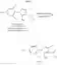 Fig. 03 - FIPRONIL PRODUCTION PROCESS