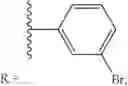 Fig. 11 - Identification of ebsulfur analogues with broad-spectrum antifungal activity