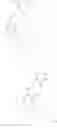 Fig. 43 - 1,3-benzodioxole derivative