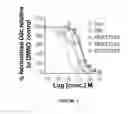 Fig. 06 - Proteasome inhibitors and uses thereof