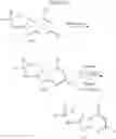 Fig. 13 - Substituted 5-methyl-[1,2,4]triazolo[1,5-a]pyrimidin-2-amine compounds as PDE2 inhibitors