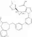 Fig. 1007 - Biaryl pyrazoles as NRF2 regulators