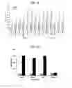 Fig. 07 - Protein based adhesive composition and method