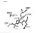 Fig. 08 - SMALL MOLECULES BLOCKING HISTONE READER DOMAINS