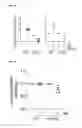 Fig. 22 - SMALL MOLECULES BLOCKING HISTONE READER DOMAINS