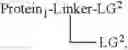 Fig. 47 - Protein conjugates