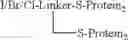 Fig. 69 - Protein conjugates