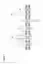 Fig. 02 - Claudin-18.2-specific immunoreceptors and T cell epitopes