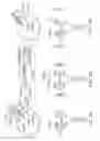 Fig. 02 - SYNTAC POLYPEPTIDES AND USES THEREOF