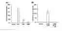 Fig. 01 - POLYPEPTIDES THAT BIND ACTIVATED RAS PROTEINS