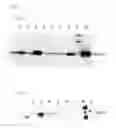 Fig. 09 - AGENTS FOR REDUCING THE ACTIVITY OF GDF15