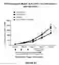 Fig. 12 - Combination of a PD-1 Axis Binding Antagonist and an ALK Inhibitor for Treating ALK-Negative Cancer
