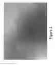 Fig. 03 - Method for preparation of novel modified bio based materials