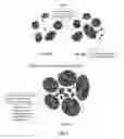 Fig. 09 - Supercritical carbon dioxide morphologically modified acid-based halloysite catalyst