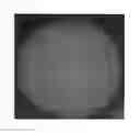 Fig. 02 - POLYMER MICROPARTICLES PROVIDED WITH MICROPHASE SEPARATION STRUCTURE GRAINS, REAGENT FOR PARTICLE IMMUNOASSAY USING SAME, AND PARTICLE IMMUNOASSAY METHOD