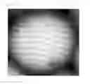 Fig. 04 - POLYMER MICROPARTICLES PROVIDED WITH MICROPHASE SEPARATION STRUCTURE GRAINS, REAGENT FOR PARTICLE IMMUNOASSAY USING SAME, AND PARTICLE IMMUNOASSAY METHOD