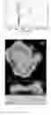 Fig. 07 - Nanostructured phosphorescent pigment and uses thereof