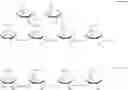 Fig. 06 - Leuco polymers as bluing agents in laundry care compositions